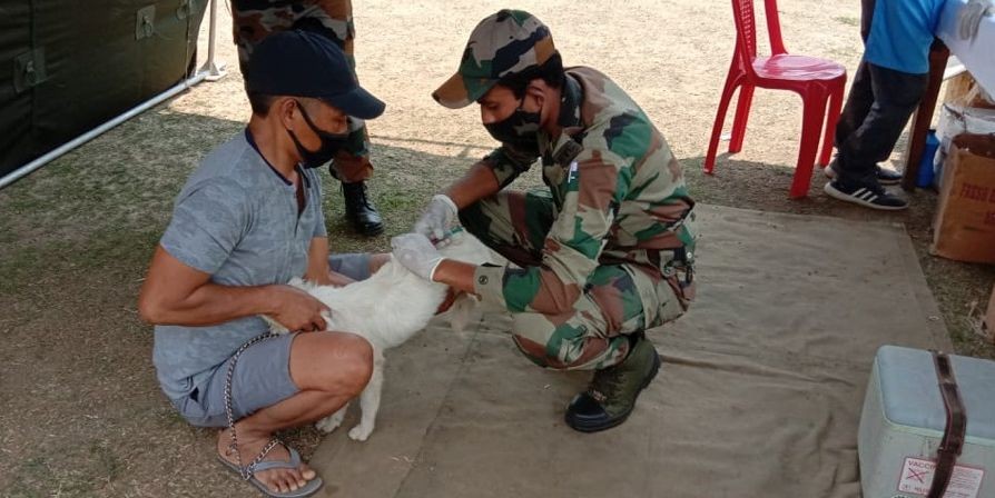 Delta Company 23rd Assam Rifles Mokokchung Battalion, as part of its civic action programme 2021, organized a veterinary camp at Longleng in collaboration with Animal Husbandry & Veterinary Services Longleng on April 22, at public ground Longleng. 2882 livestock and pets were examined and vaccinated while free veterinary medicine was also provided. (Photo  Courtesy: IA Longleng)